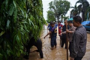 Pelindo Ditudung Menutup Drainase, Masyarakat Mengeluh