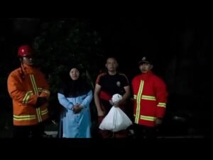 Sigap dan Cepat, Tim Damkar Natar Evakuasi Sarang Tawon Vespa Affinis di Perumahan Griya Natas Asri
