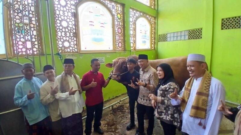 Gubernur Lampung Salurkan Bantuan Sapi Qurban Presiden Prabowo