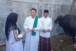 Presiden Prabowo Berkurban di Bandarlampung, Eva Dwiana Serahkan Sapi 900 Kg ke Masyarakat
