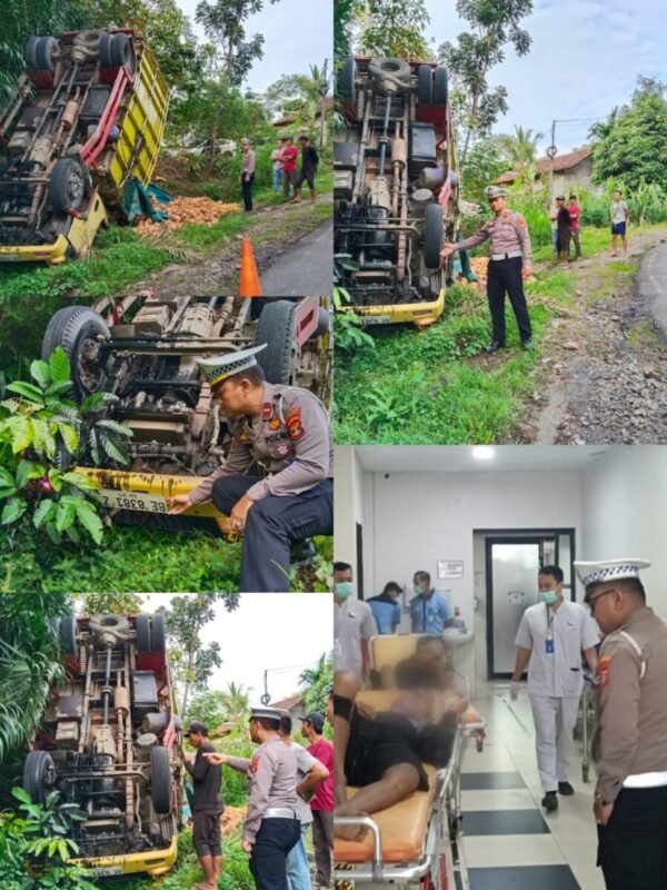 Truk Bermuatan Kelapa Terguling di Semaka Tanggamus, Dua Orang Tewas