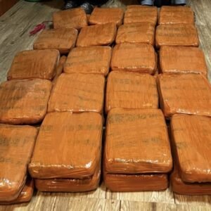 Polda Lampung Gagalkan Penyelundupan 40 Kg Ganja Asal Padang, Satu Kurir Ditangkap