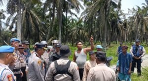 Polres Mesuji dan Forkopimda Amankan Penertiban Lahan HGU PT SIP yang Diduduki Warga Buay Mencurung