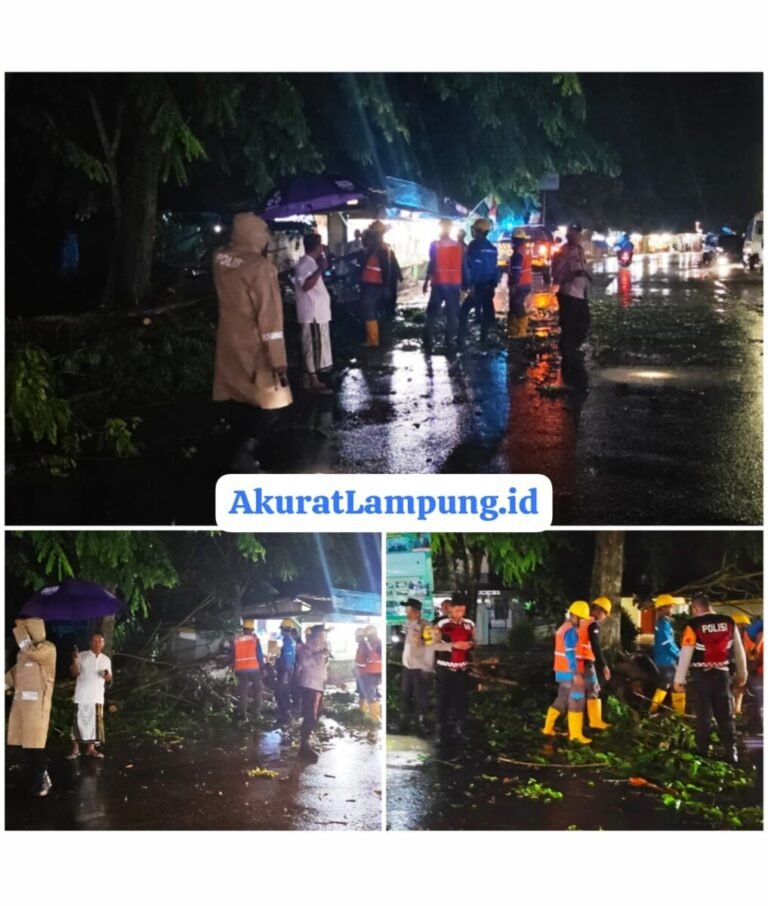 Pohon Tumbang Tutup Jalan Raya di Desa Sumber Gede Kecamatan Sekampung, Polisi Sigap Evakuasi