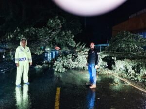Kapolsek Banjar Agung Pimpin Evakuasi Pohon Tumbang Di Jalintim Km 151 — Lalu Lintas Kembali Normal Dalam Waktu Singkat