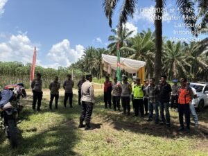 Jajaran Kepolisian, Sat Pol PP dan Anggota Dinas Perhubungan Laksanakan Pengamanan Ketat (kunker) Wakil Menteri Pendidikan