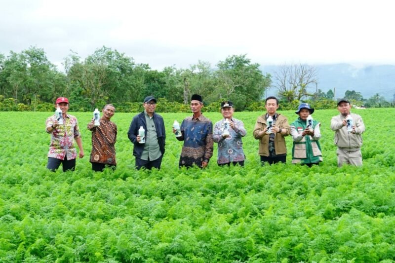 Tinjau Sentra Sayur di Sukau, Gubernur Mirza Instruksikan Proteksi Harga Panen Petani dan Siapkan Hilirisasi di Lampung Barat