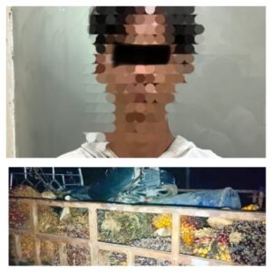 Sat Reskrim Polres Mesuji Berhasil Amankan Pelaku Pencurian Buah Kelapa Sawit