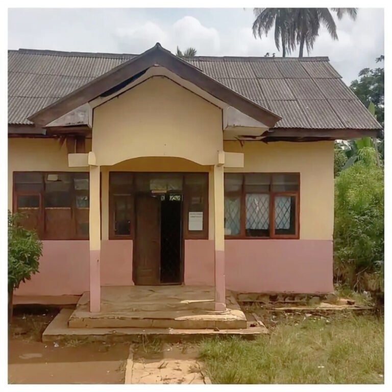 FAJU Nusantara Soroti Dugaan Pengelolaan Dana BOS di UPTD SDN 04 Kedondong