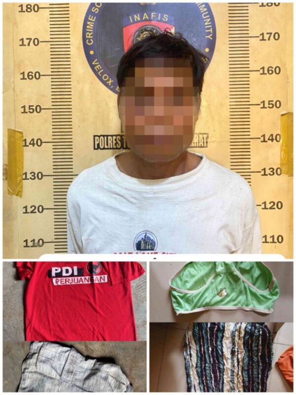 Kurang dari 1 X 24 Jam, Sat Reskrim Polres Tulang Bawang Barat bersama Polsek Tumijajar amankan Kakek Tiri Setubuhi Cucu di Bawah Umur