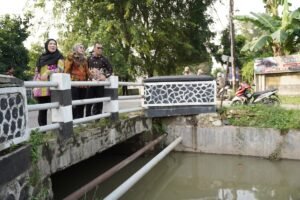 Antisipasi Banjir Saat Musim Hujan, Walikota Bandar Lampung Tinjau Saluran Irigasi di Tanjung Senang ‎