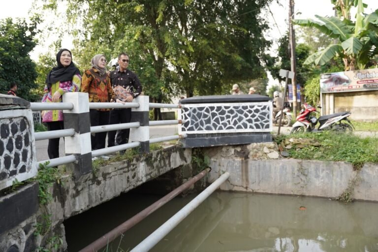 Antisipasi Banjir Saat Musim Hujan, Walikota Bandar Lampung Tinjau Saluran Irigasi di Tanjung Senang ‎