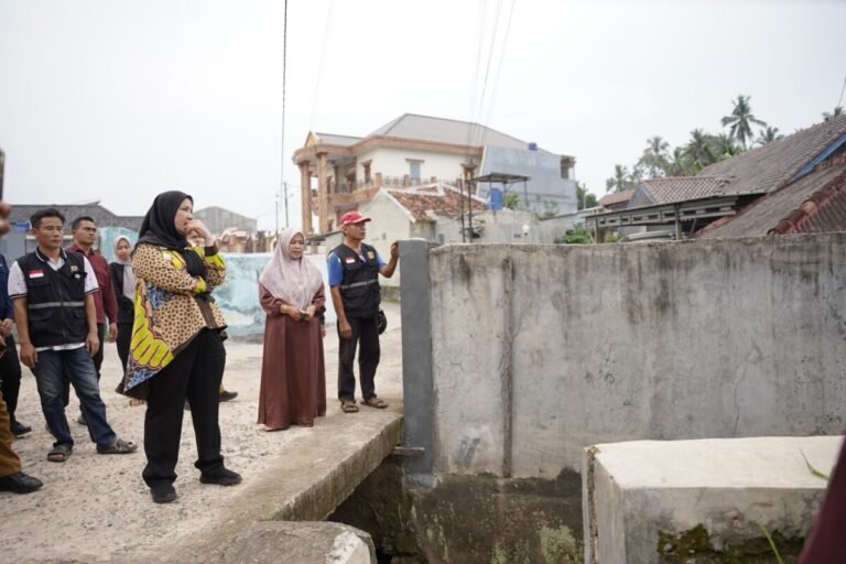 Eva Dwiana Tinjau Aliran Sungai dan Gorong-Gorong di Perumahan Pujangga Alam