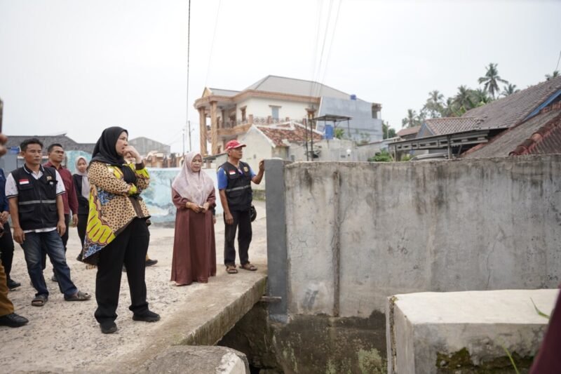 Eva Dwiana Tinjau Aliran Sungai dan Gorong-Gorong di Perumahan Pujangga Alam