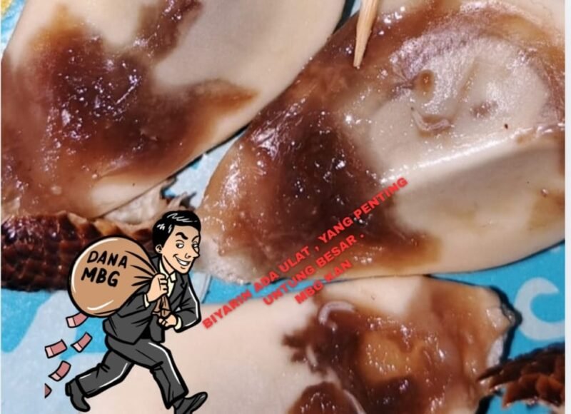 Kasus Viral di Kabupaten Mesuji: Dapur MBG di Desa Panca Jaya