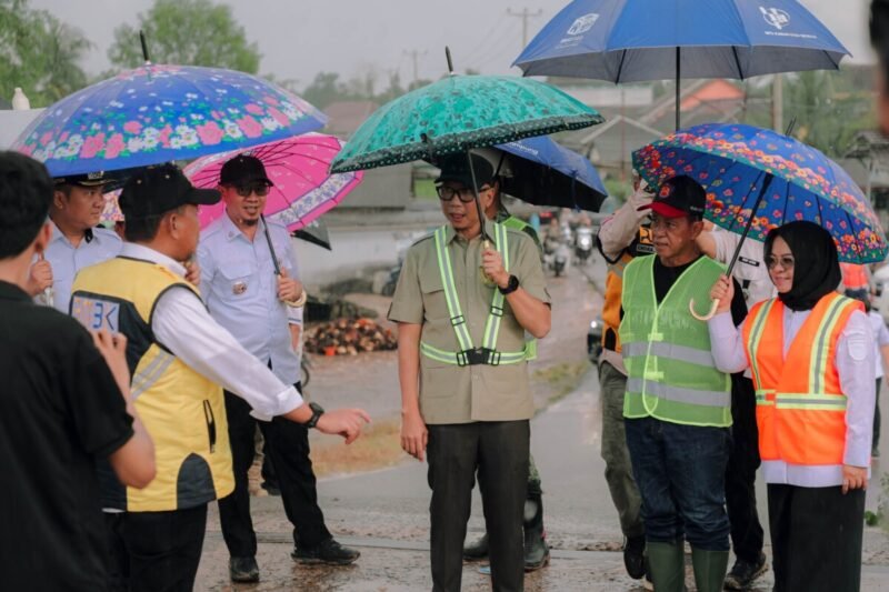 Bangun Jalan Perbatasan, Gubernur Mirza Targetkan Infrastruktur Tahan 15 Tahun di Mesuji