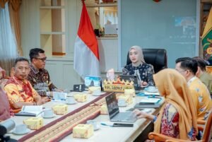 Rakor Tim Percepatan TP2TBC Kabupaten Pesawaran, Wagub Jihan Nurlela Dorong Dituntaskannya Penanganan TBC