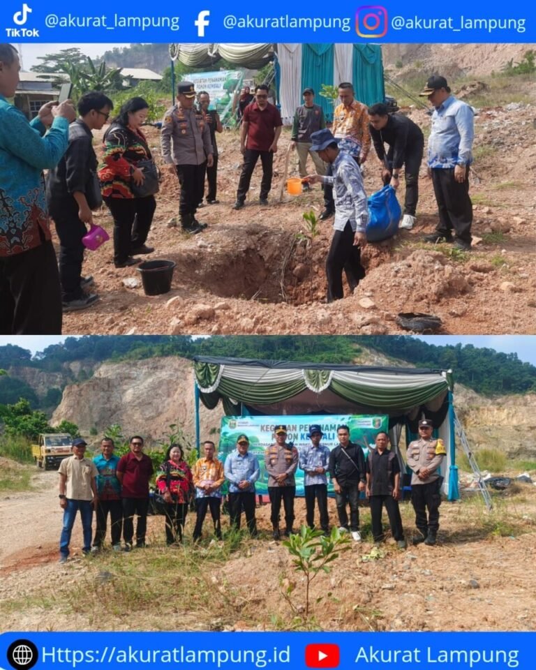 Eks Pengelolaan Lahan Bukit Campang Mulai Penghijauan, Pengelola Adakan Gerakan Penanaman Pohon