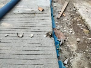 Di Duga Pembangunan Rabat Beton Pekon Karang Rejo: Semrawut Asal Jadi