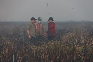 Gubernur Lampung Tinjau Langsung Kebakaran di Lampung Timur, Pastikan Api Tak Merembet ke Hutan TNWK