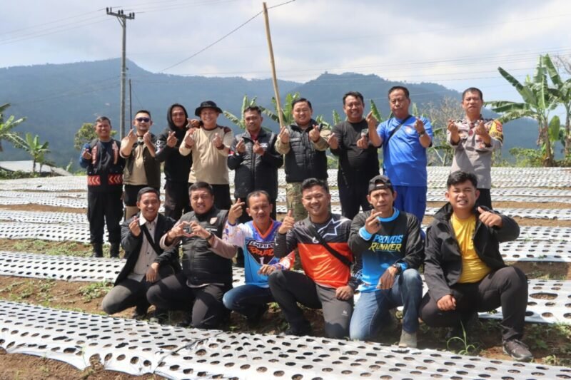 Kapolres Tanggamus Tinjau Penanaman  Bawang Putih  Pekon Ngarip dan Ngobarmas Sukamaju