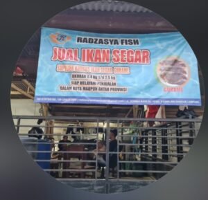 Radzasya Fish Kemiling Hadirkan Ikan Segar Berkualitas, Siap Antar Langsung ke Rumah Warga Bandar Lampung