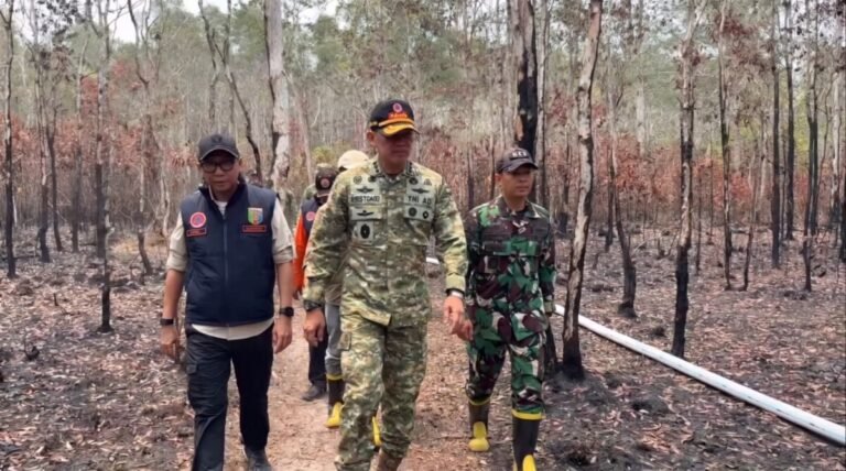 Kepala BNPB Letjen TNI Kristomei Sianturi Cek Penanganan Karhutla Way Kambas ‎