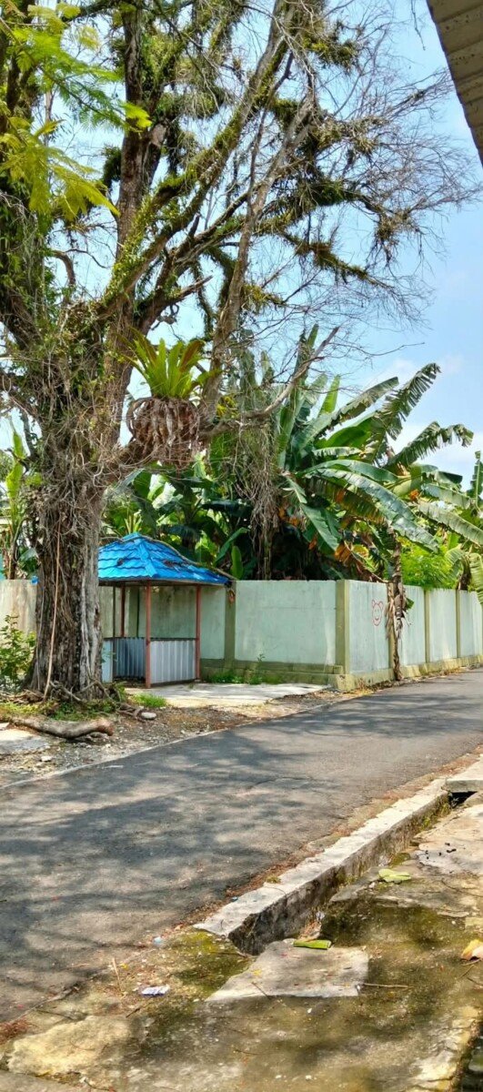 Taman Kota Agung Disorot’ Hingga Pohon Mati Keluhkan Warga, Dikhawatirkan Jatuh Menimpa Pengguna Jalan & Pengunjung*